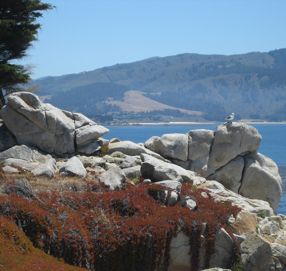 Carmel, CA